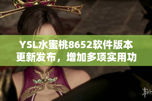 YSL水蜜桃8652软件版本更新发布，增加多项实用功能