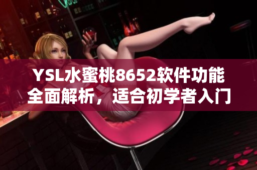 YSL水蜜桃8652软件功能全面解析，适合初学者入门学习