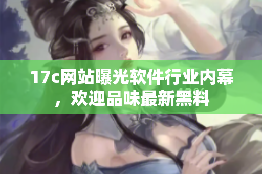 17c网站曝光软件行业内幕，欢迎品味最新黑料
