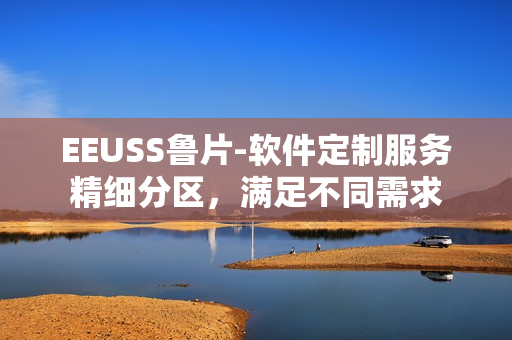EEUSS鲁片-软件定制服务精细分区，满足不同需求