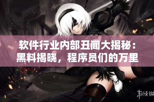 软件行业内部丑闻大揭秘：黑料揭晓，程序员们的万里长征