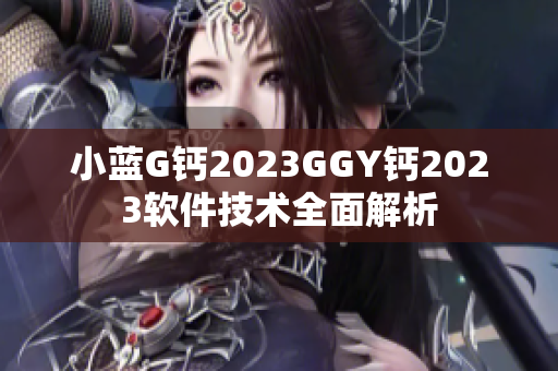 小蓝G钙2023GGY钙2023软件技术全面解析