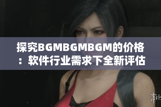 探究BGMBGMBGM的价格：软件行业需求下全新评估方法