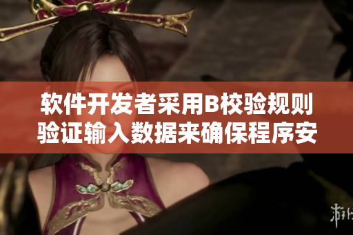 软件开发者采用B校验规则验证输入数据来确保程序安全