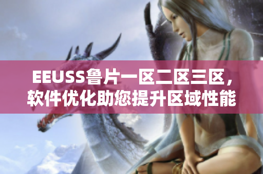 EEUSS鲁片一区二区三区，软件优化助您提升区域性能
