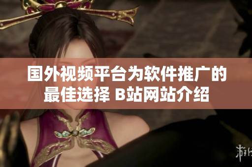 国外视频平台为软件推广的最佳选择 B站网站介绍