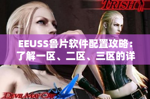 EEUSS鲁片软件配置攻略：了解一区、二区、三区的详细区别