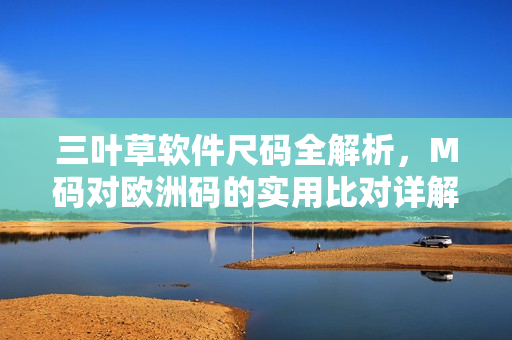 三叶草软件尺码全解析，M码对欧洲码的实用比对详解