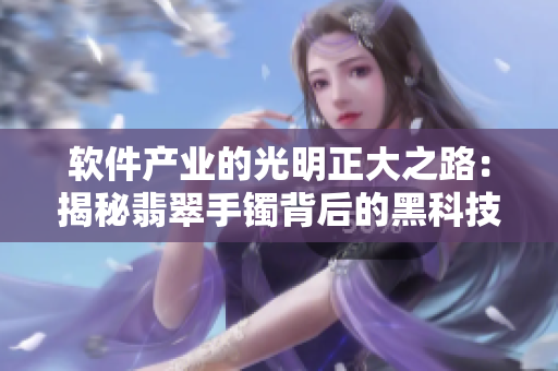 软件产业的光明正大之路：揭秘翡翠手镯背后的黑科技