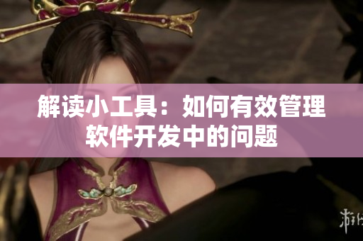 解读小工具：如何有效管理软件开发中的问题