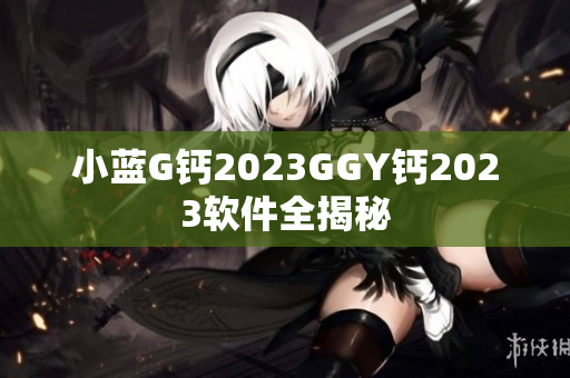 小蓝G钙2023GGY钙2023软件全揭秘