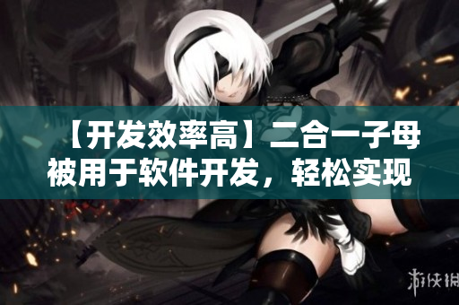 【开发效率高】二合一子母被用于软件开发，轻松实现高效编程