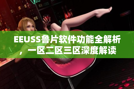 EEUSS鲁片软件功能全解析，一区二区三区深度解读