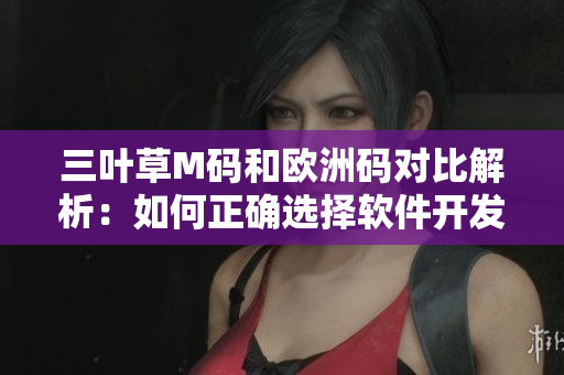 三叶草M码和欧洲码对比解析：如何正确选择软件开发工具尺码