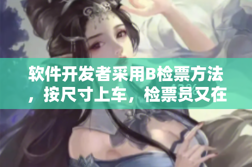 软件开发者采用B检票方法，按尺寸上车，检票员又在拼尽全力！