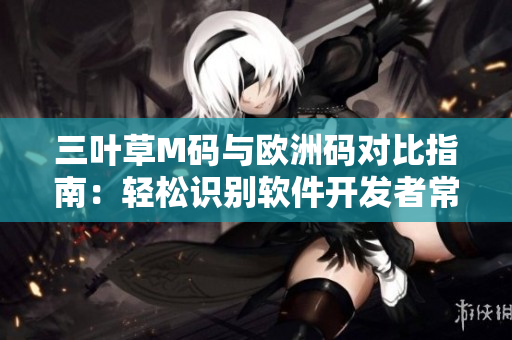 三叶草M码与欧洲码对比指南：轻松识别软件开发者常用尺码