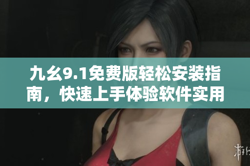 九幺9.1免费版轻松安装指南，快速上手体验软件实用功能