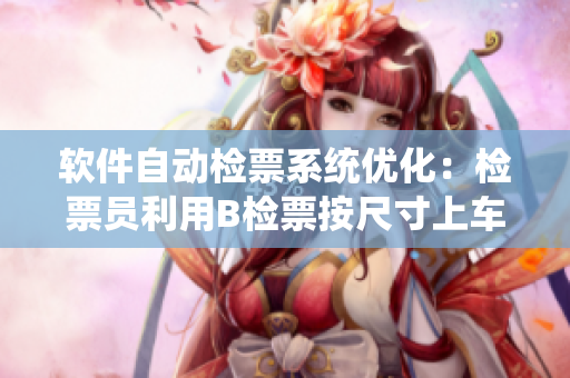软件自动检票系统优化：检票员利用B检票按尺寸上车技巧