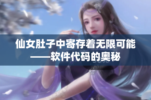 仙女肚子中寄存着无限可能——软件代码的奥秘