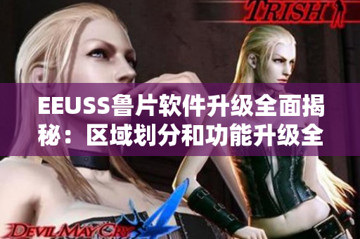 EEUSS鲁片软件升级全面揭秘：区域划分和功能升级全方位解析