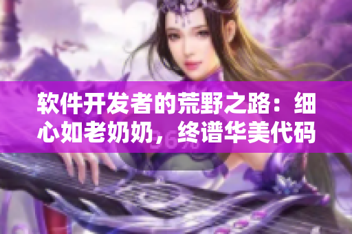 软件开发者的荒野之路：细心如老奶奶，终谱华美代码章节