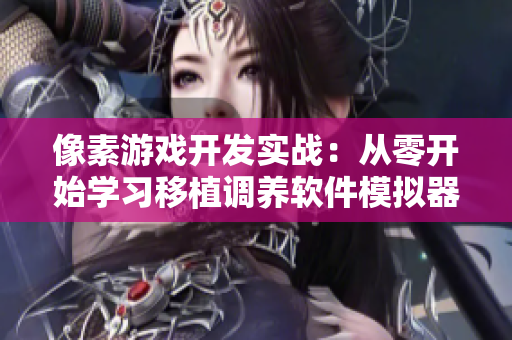 像素游戏开发实战：从零开始学习移植调养软件模拟器