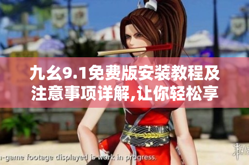 九幺9.1免费版安装教程及注意事项详解,让你轻松享受优质软件服务