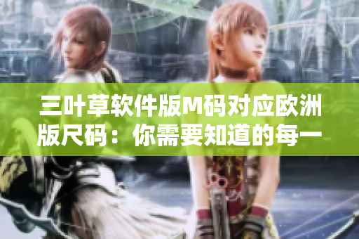 三叶草软件版M码对应欧洲版尺码：你需要知道的每一个细节