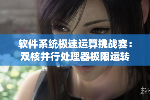 软件系统极速运算挑战赛：双核并行处理器极限运转