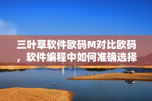三叶草软件欧码M对比欧码，软件编程中如何准确选择码值？