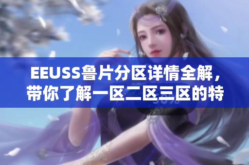EEUSS鲁片分区详情全解，带你了解一区二区三区的特色和功能