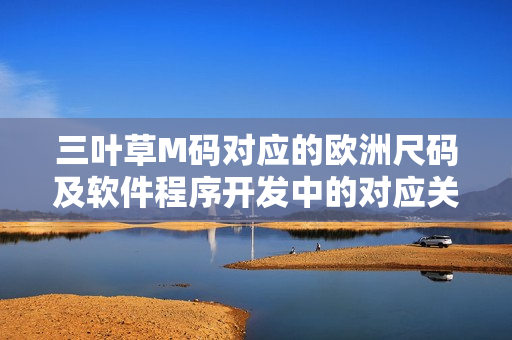 三叶草M码对应的欧洲尺码及软件程序开发中的对应关系