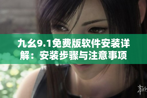 九幺9.1免费版软件安装详解：安装步骤与注意事项