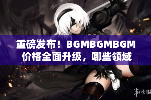 重磅发布！BGMBGMBGM 价格全面升级，哪些领域的软件受益最大？