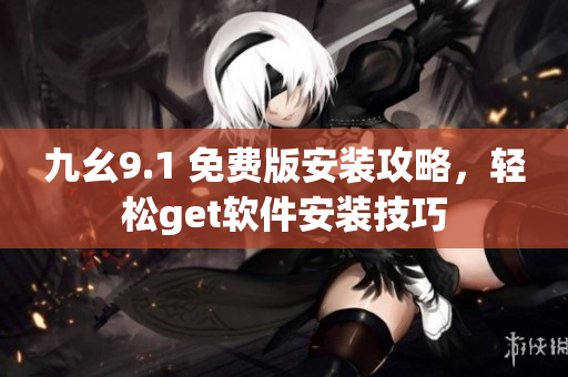 九幺9.1 免费版安装攻略，轻松get软件安装技巧