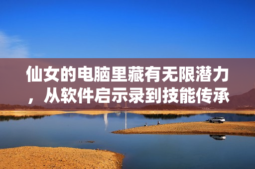仙女的电脑里藏有无限潜力，从软件启示录到技能传承