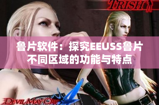鲁片软件：探究EEUSS鲁片不同区域的功能与特点