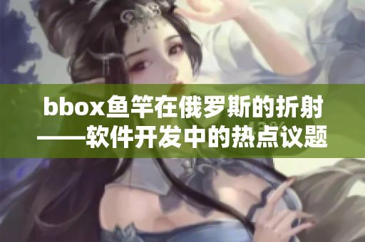 bbox鱼竿在俄罗斯的折射——软件开发中的热点议题