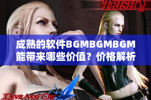 成熟的软件BGMBGMBGM能带来哪些价值？价格解析及推荐