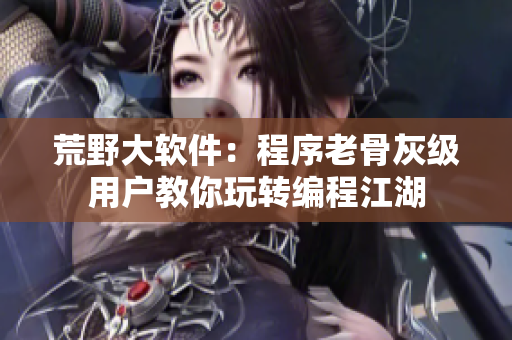 荒野大软件：程序老骨灰级用户教你玩转编程江湖