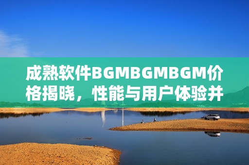 成熟软件BGMBGMBGM价格揭晓，性能与用户体验并重