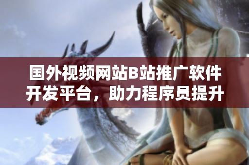 国外视频网站B站推广软件开发平台，助力程序员提升技能