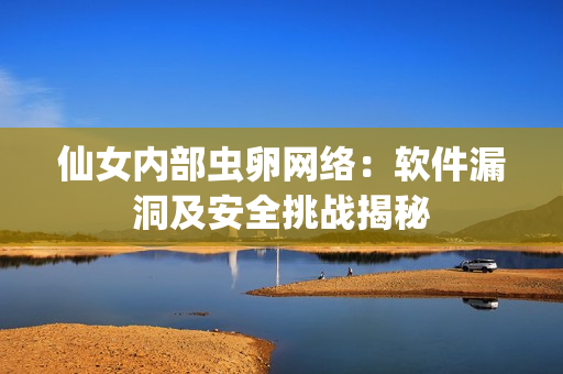 仙女内部虫卵网络：软件漏洞及安全挑战揭秘