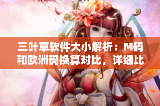 三叶草软件大小解析：M码和欧洲码换算对比，详细比较揭秘