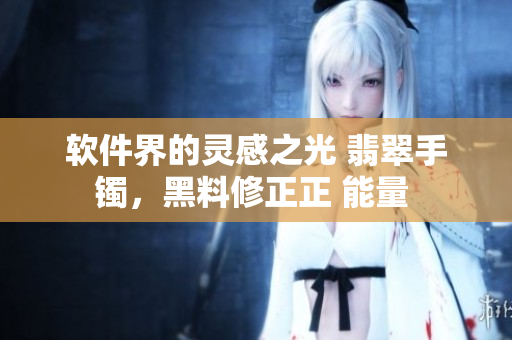软件界的灵感之光 翡翠手镯，黑料修正正 能量 