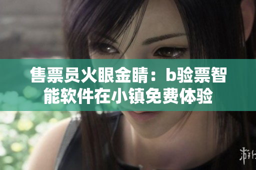 售票员火眼金睛：b验票智能软件在小镇免费体验