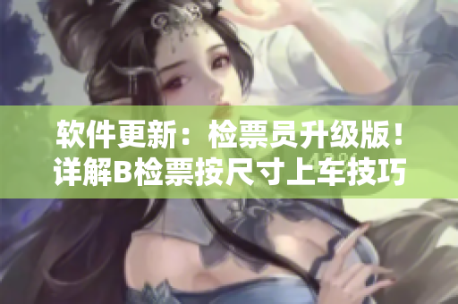 软件更新：检票员升级版！详解B检票按尺寸上车技巧