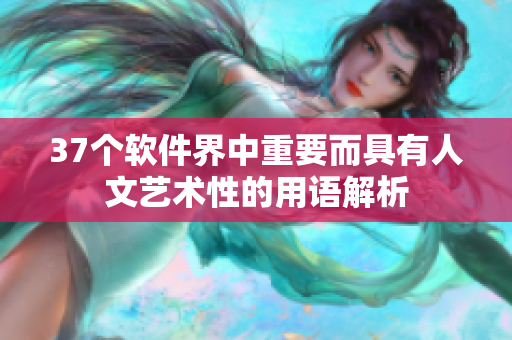 37个软件界中重要而具有人文艺术性的用语解析