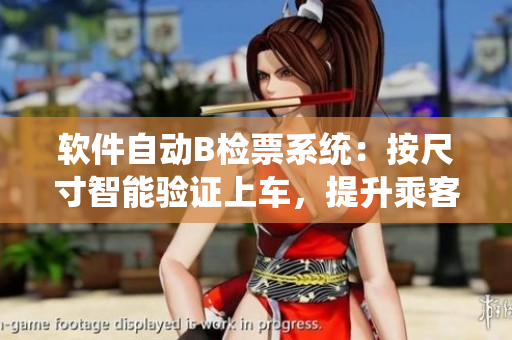 软件自动B检票系统：按尺寸智能验证上车，提升乘客乘车体验