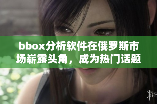 bbox分析软件在俄罗斯市场崭露头角，成为热门话题
